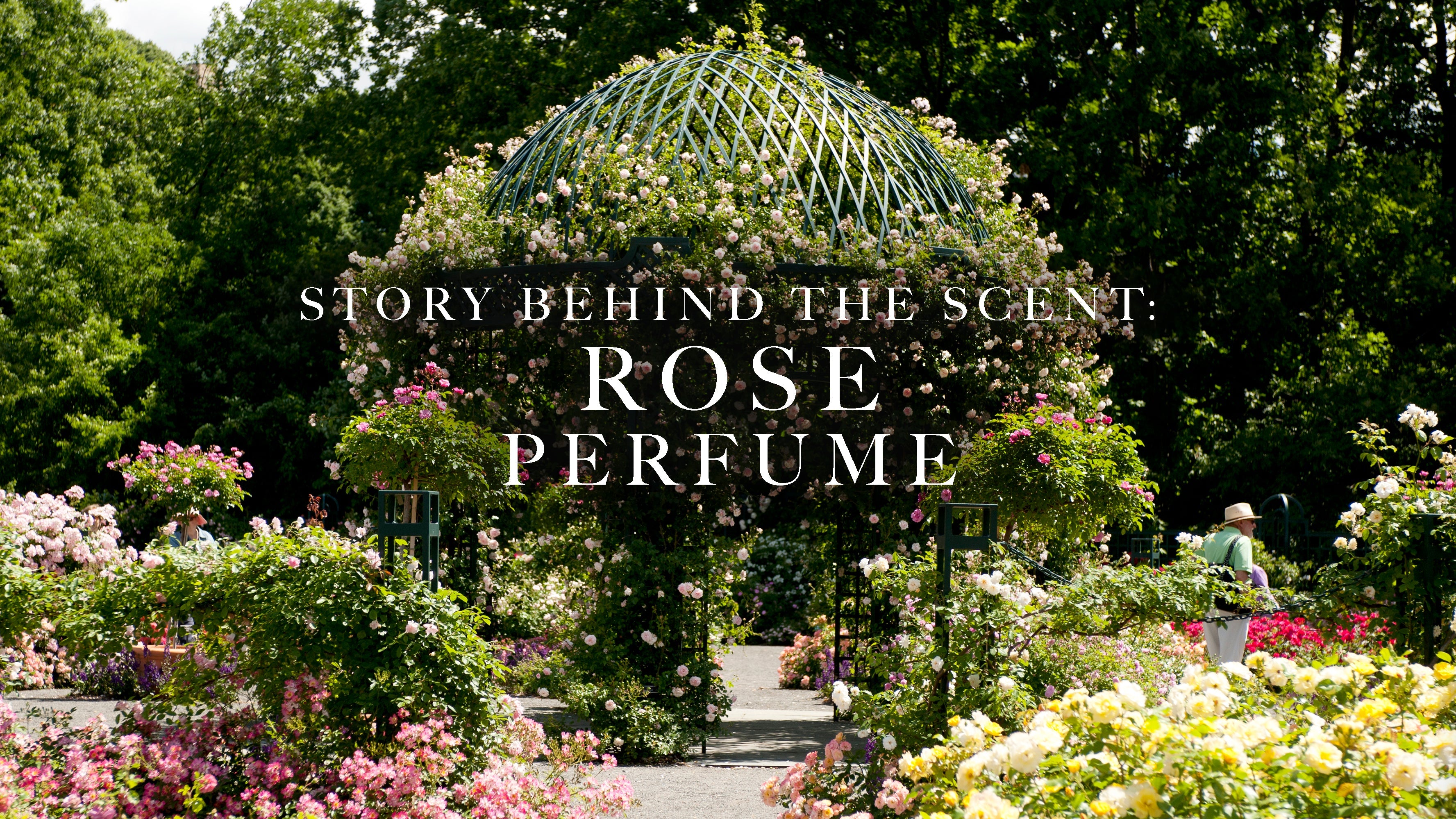 Rose Perfume