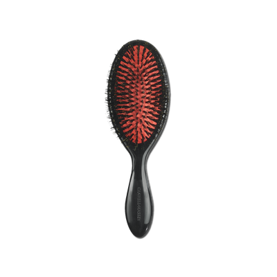 Standard Hair Brush Combs & Brushes Caswell-Massey®   