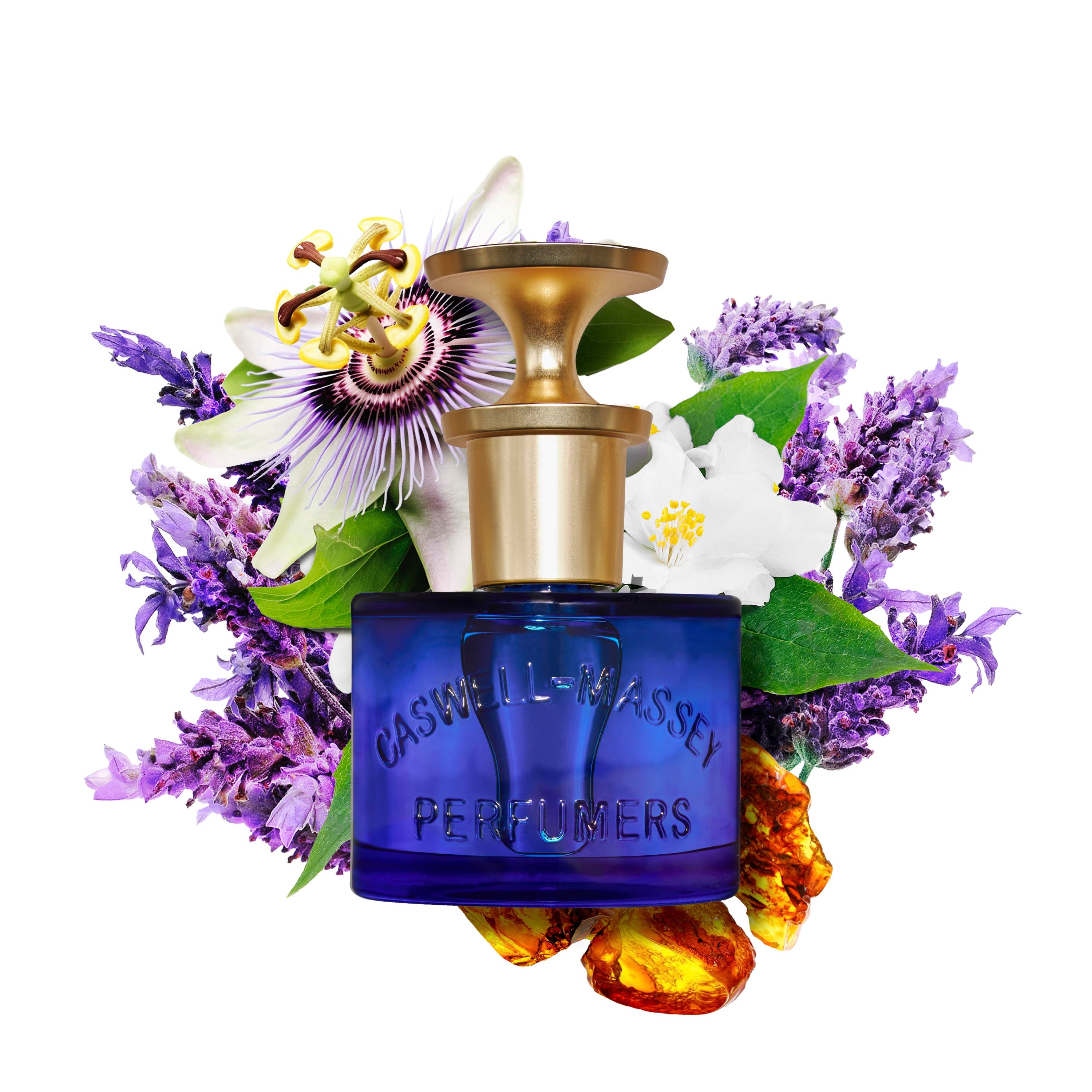 Elixir of love perfume new arrivals